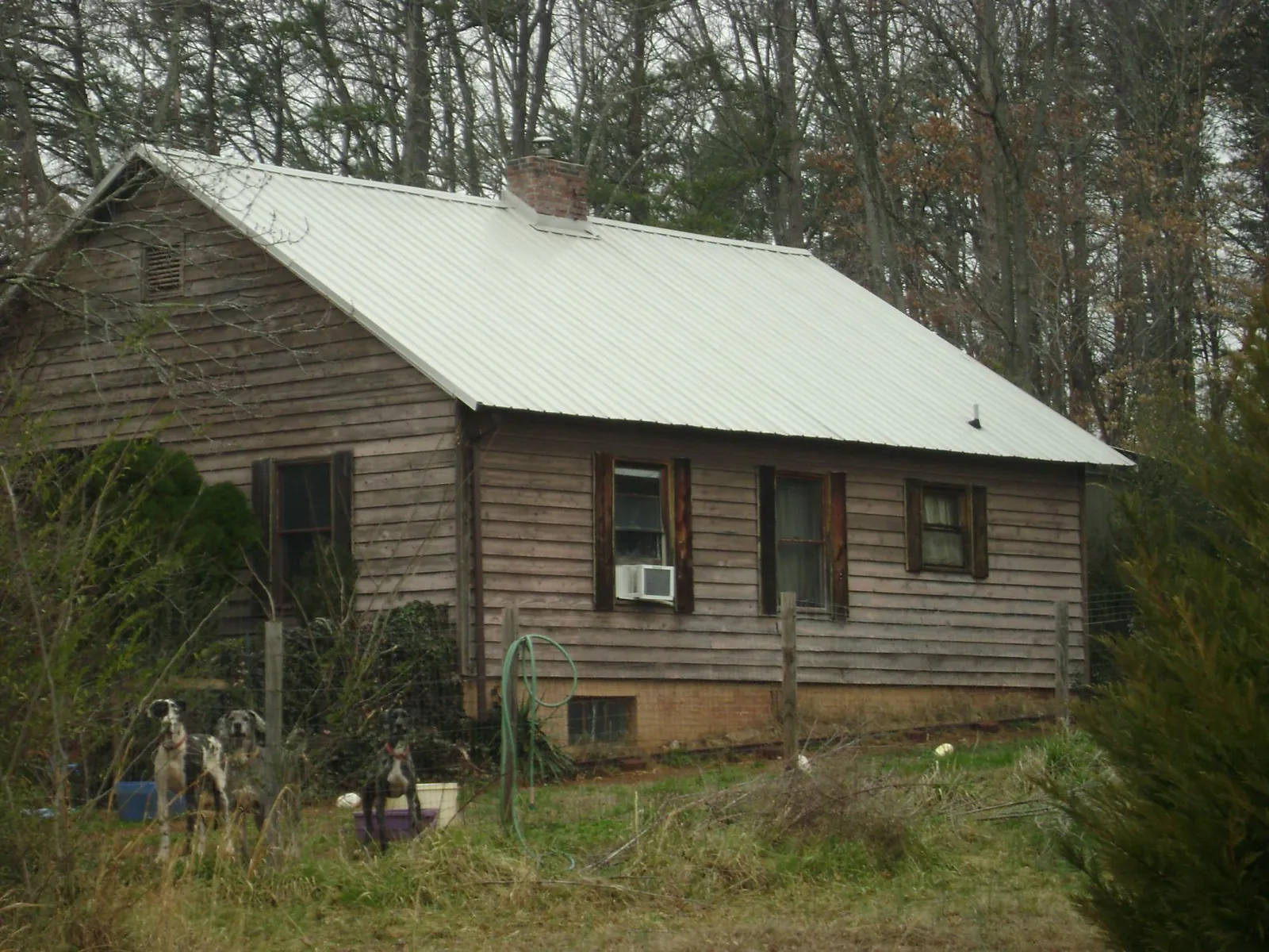White metal roof on an old wood sided farmhouse, from a Asphalt Shingle Roof Repair job in Trinity Center